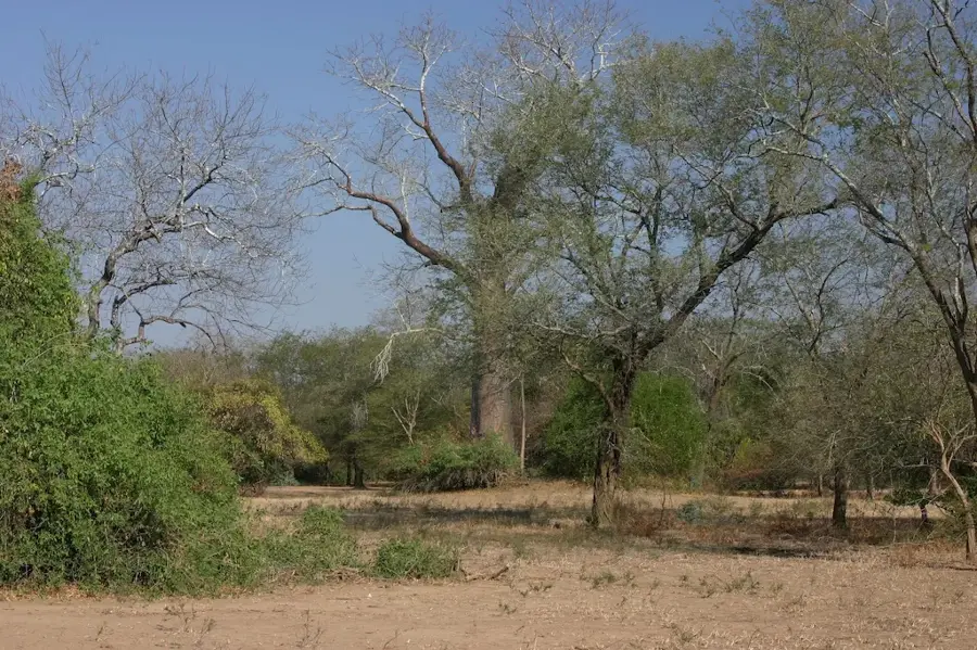 Lengwe-Nationalpark