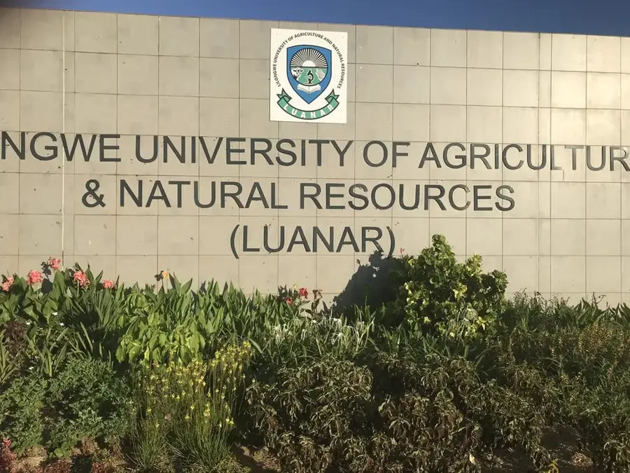 Lilongwe Dairy