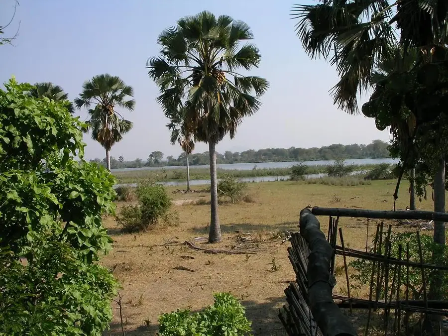 Liwonde-Nationalpark — Mandimba (Mosambik)