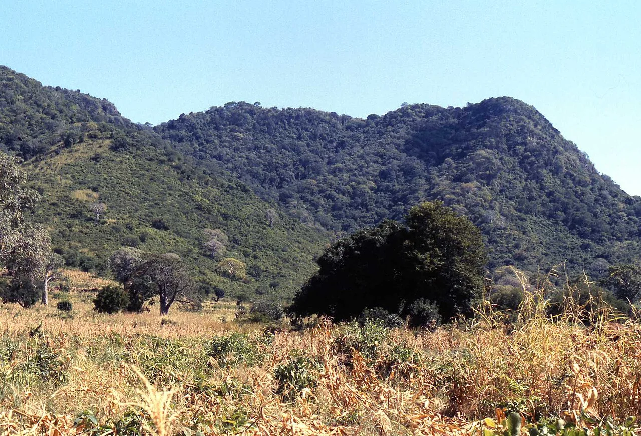Ntchisi Forest Reserve — Kasungu Iron Smelting Kilns (Malawi)