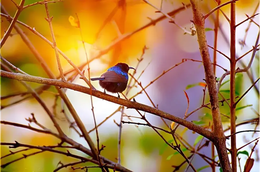 Sunbird Geschäftszentrum — Altes Rathaus Blantyre (Malawi)