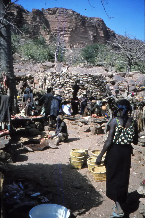 Ireli — Tenenkou (Mali)