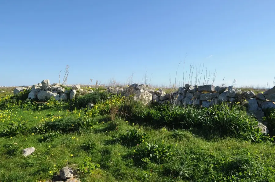 Ta' Ċenċ Plateau — Qala (Malta)