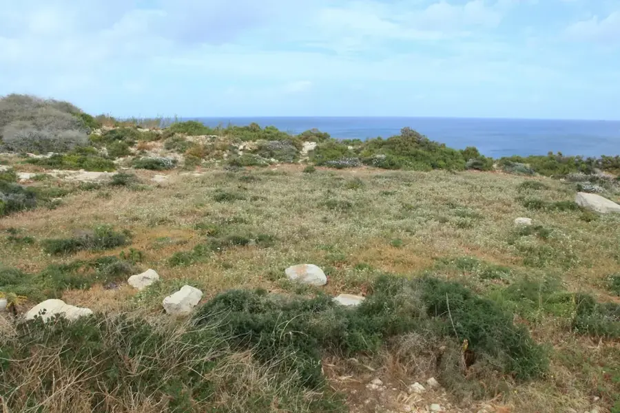 Xrobb l-Għaġin tengerparti park