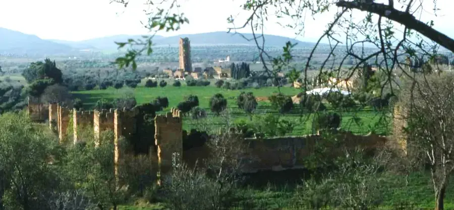 Mansourah Mosque