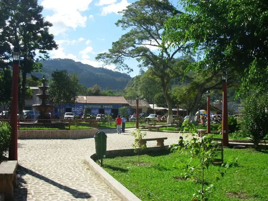 Marcala — Cane (Honduras)