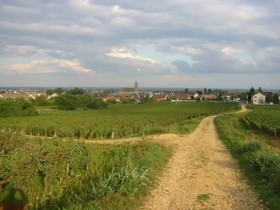 Marsannay-la-Côte – city