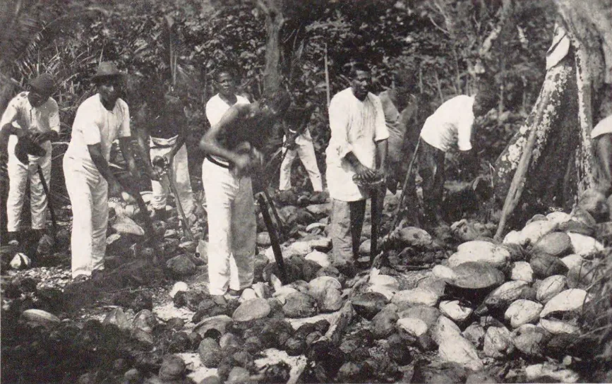 Centrul economic Ebeye — Muzeul Alele (Insulele Marshall)