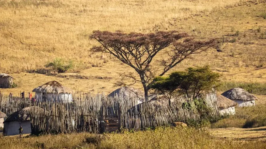 Rezervația Națională Maasai Mara — Busia (Kenya)