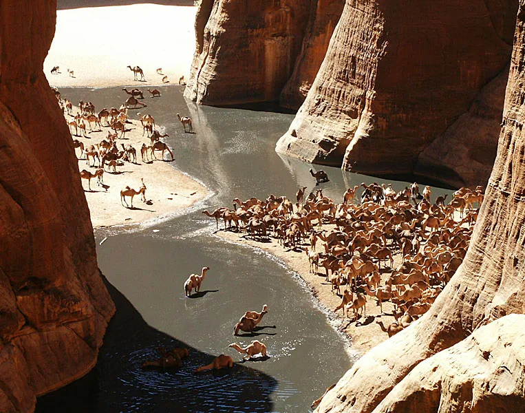 Guelta d'Eli
