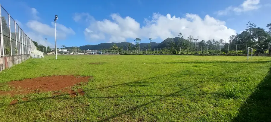 Bananes — Pieter Both Mountain (Mauritius)