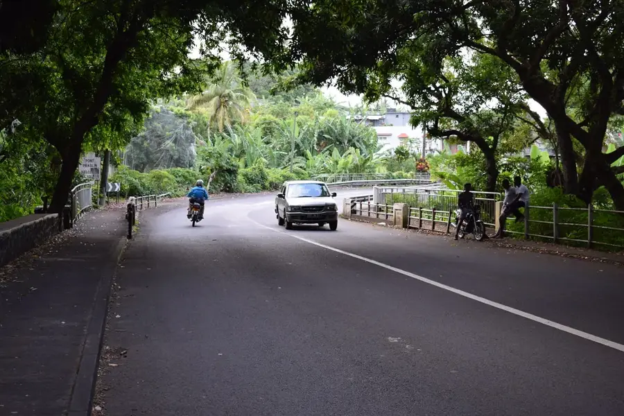 Brisée Verdière — Pamplemousses Deer Park (Mauritius)