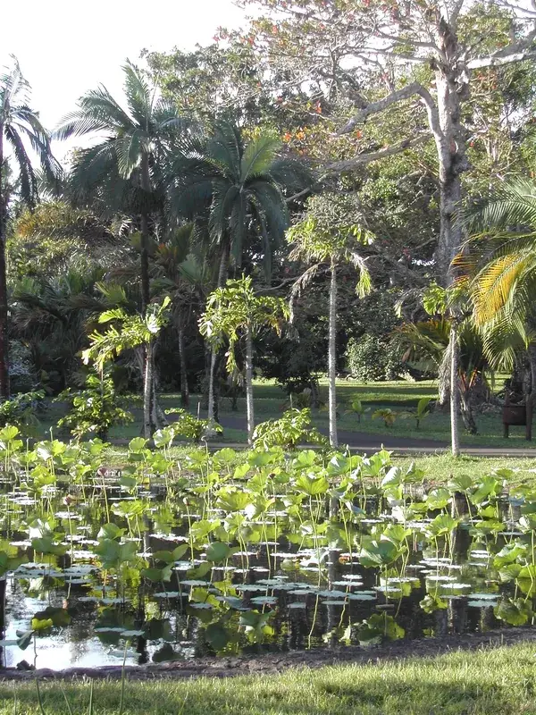 Château de Labourdonnais — Industriezone Triolet (Mauritius)