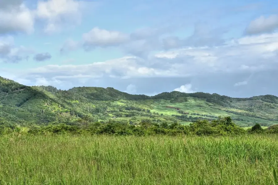 Chemin Grenier — Pădurea Macchabée (Mauritius)