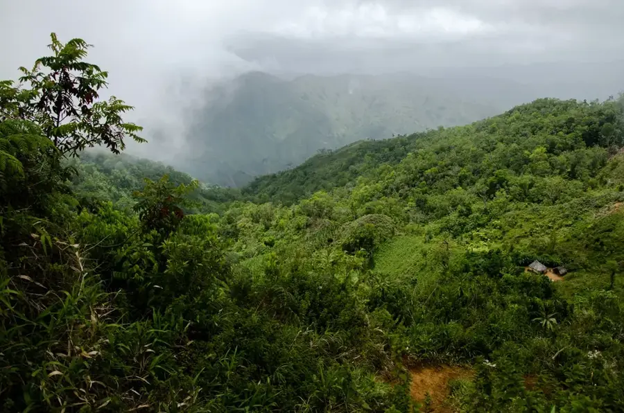 Grand Bois — Trou aux Cerfs (Mauritius)