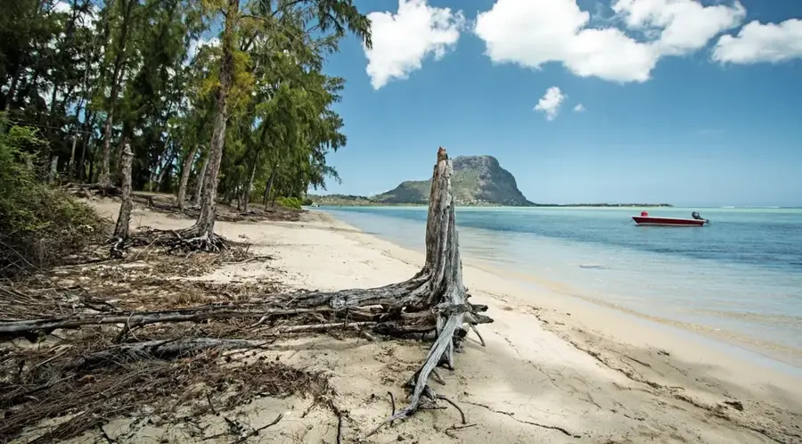 Ile aux Bénitiers