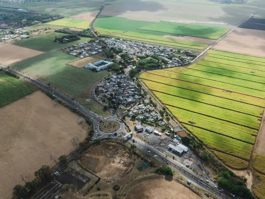 Mapou — Pieter Both Mountain (Mauritius)