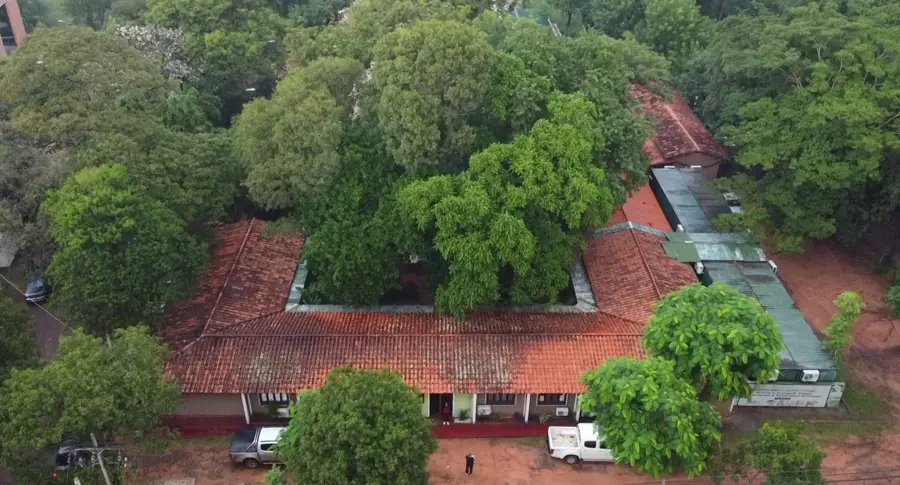 Naturkundemuseum (Mauritius)