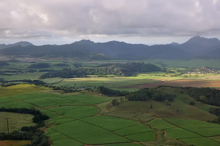New Grove — Muntele Leului (Mauritius)