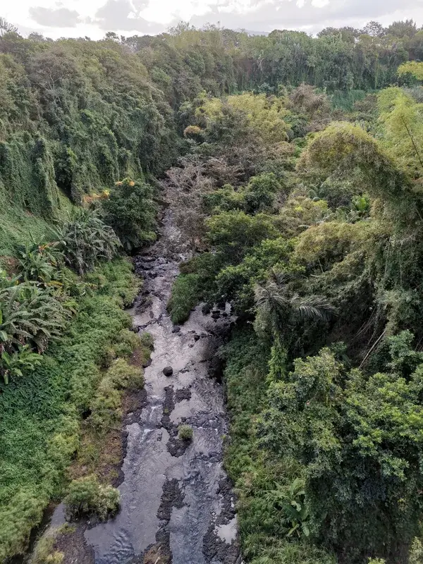 Rivière des Anguilles — Industriegebiet Plaisance (Mauritius)