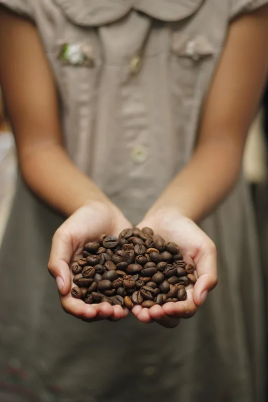 Maya Mountain Coffee Farms — Moho River (Belize)