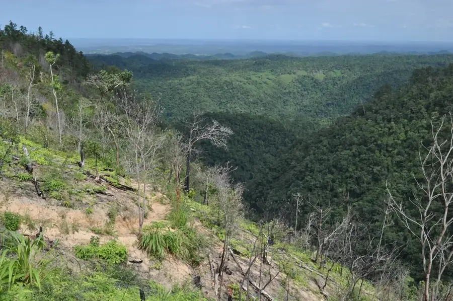 Maya Mountains Foothills