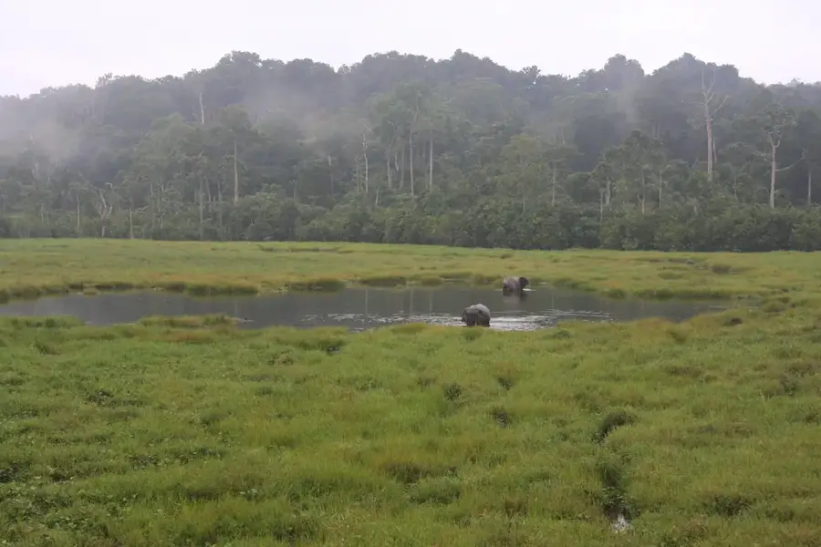 Mbeli Bai megfigyelőpont — Ouésso (Kongó – Brazzaville)