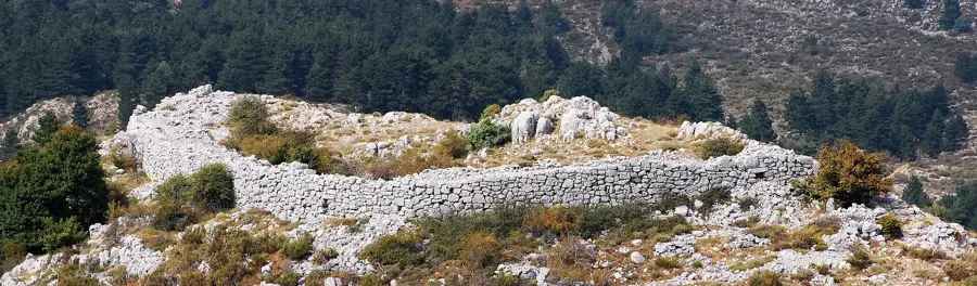 Livezile de măslini din Provence