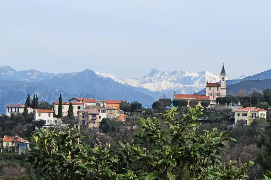 Viile din Bellet