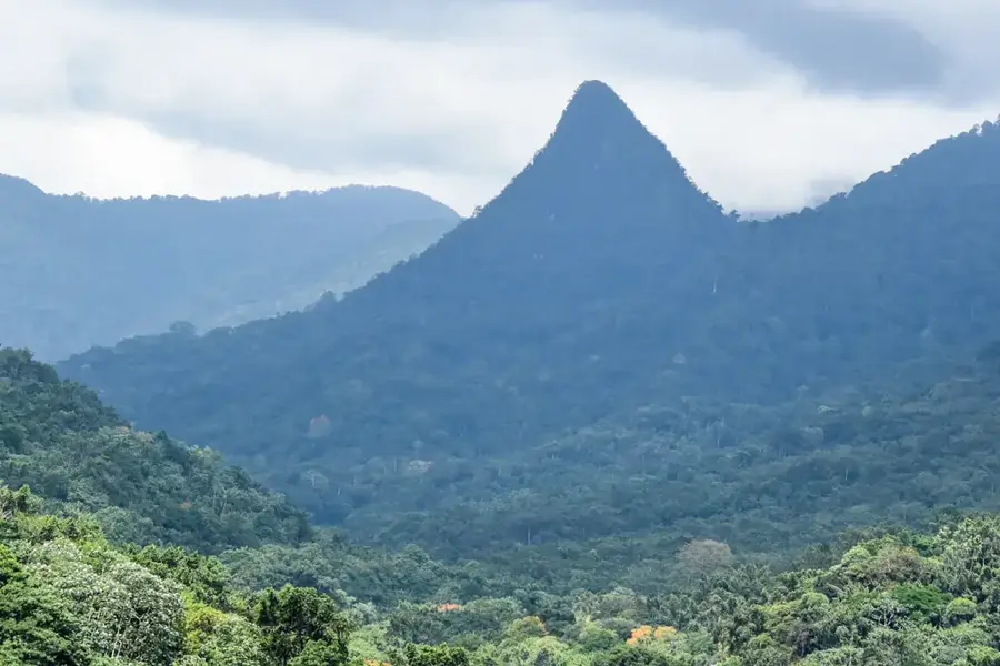 Pădurea de ceață din Mé-Zóchi — Trindade (São Tomé și Príncipe)
