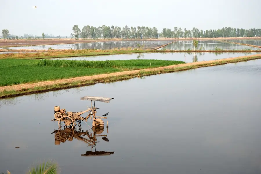 Delta Mekongului — Bạc Liêu (Vietnam)