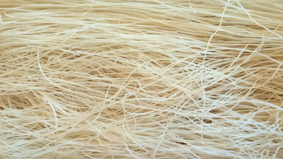 Grânarul Deltei Mekong — Bạc Liêu (Vietnam)