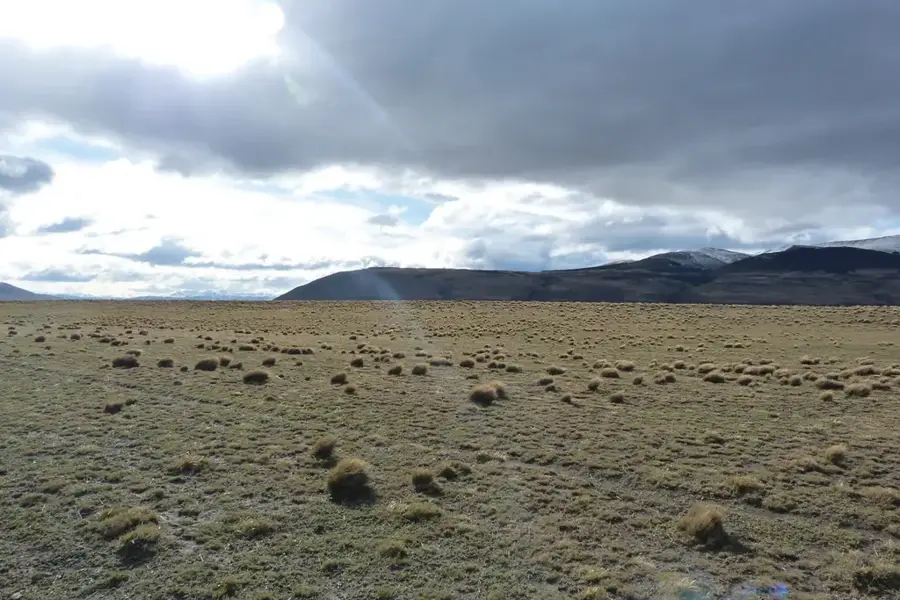 Patagonian Meseta — Punta Tombo (Argentina)