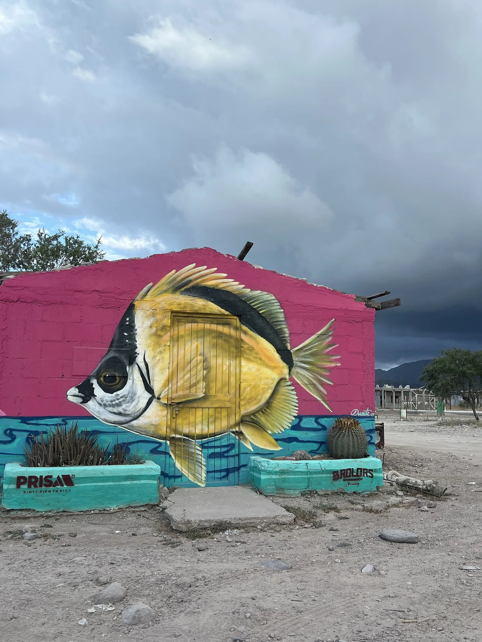 Campo Pesquero la Manga — Tiburon sziget (Mexikó)