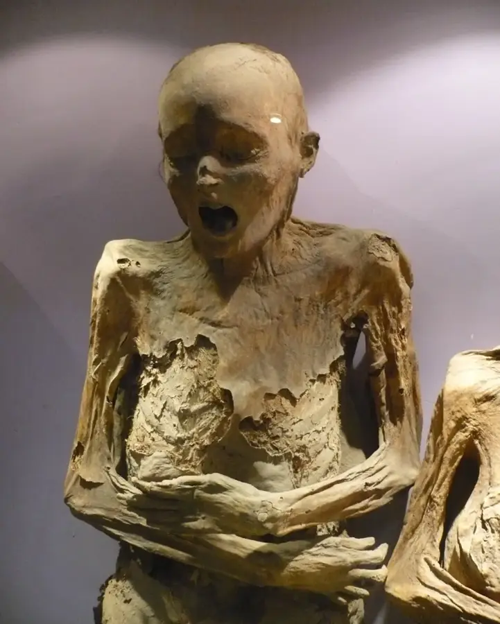 Mummies of Guanajuato Museum — Irapuato (Mexico)