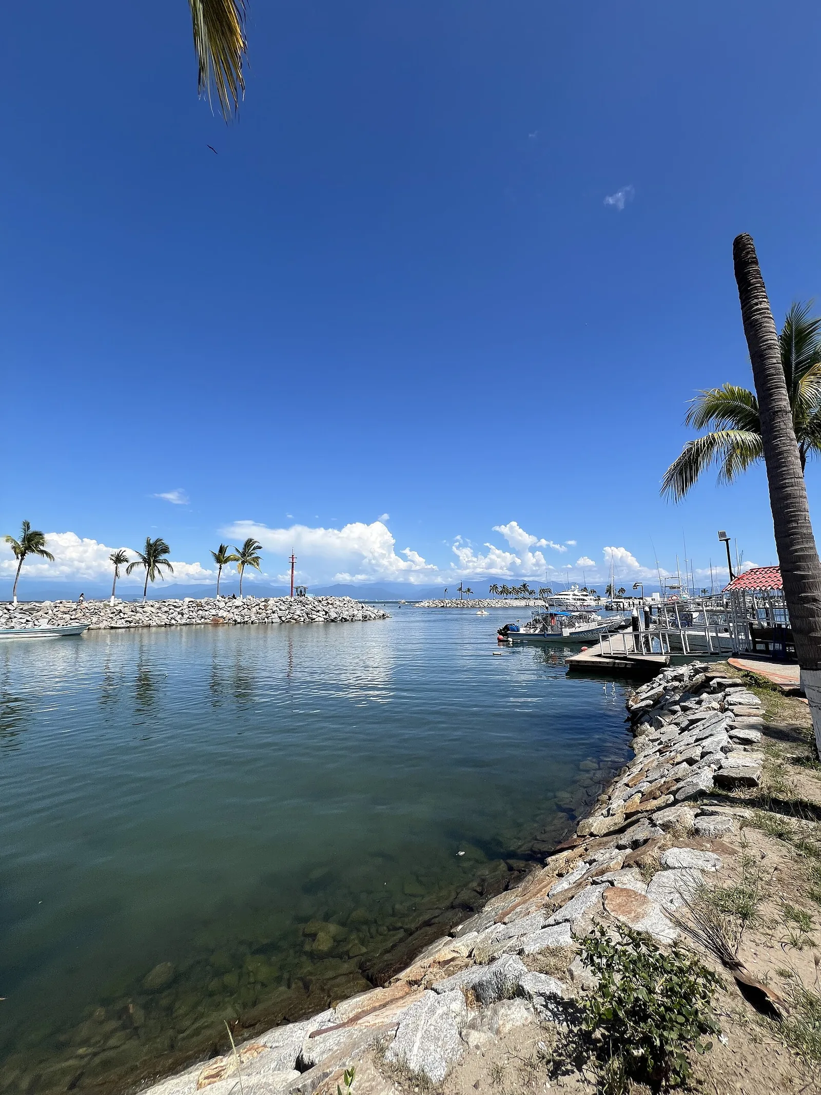 La Cruz de Huanacaxtle — Tepic (Mexikó)