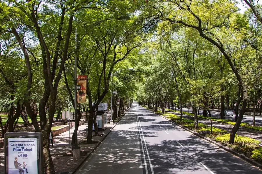 Finanzzone Paseo de la Reforma — Ciudad Valles (Mexiko)