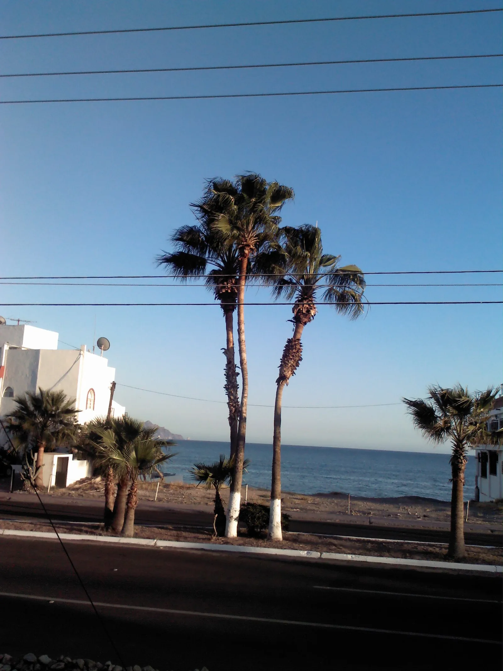 San Carlos