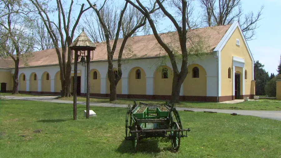 Mezőhegyes – város