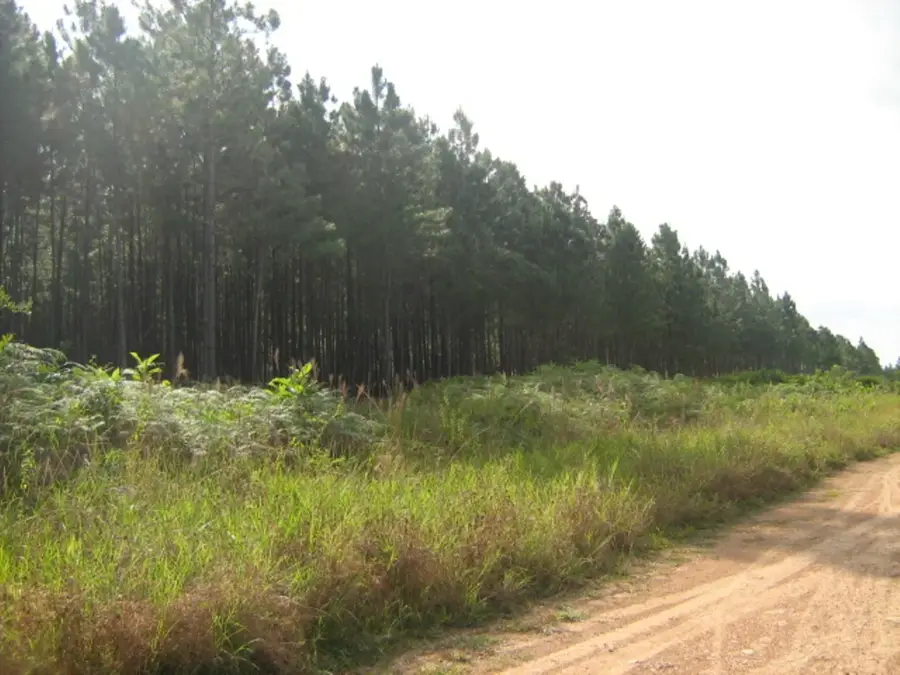 Rosita Gold and Copper Mine — Swan Islands (Honduras)