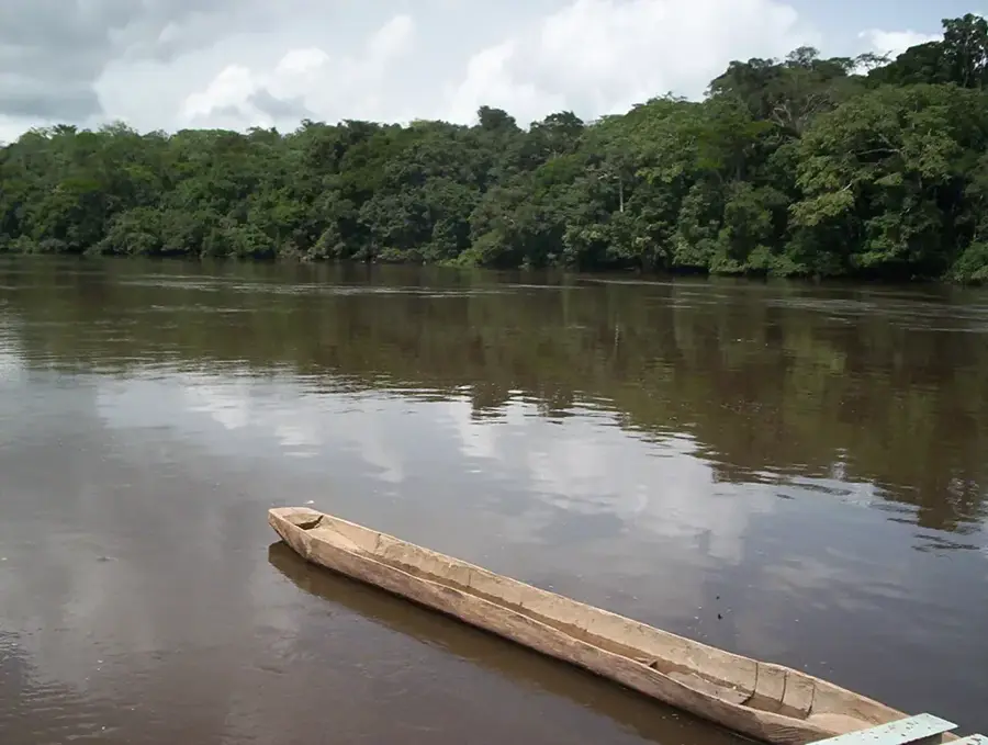 Minkébé Rainforest