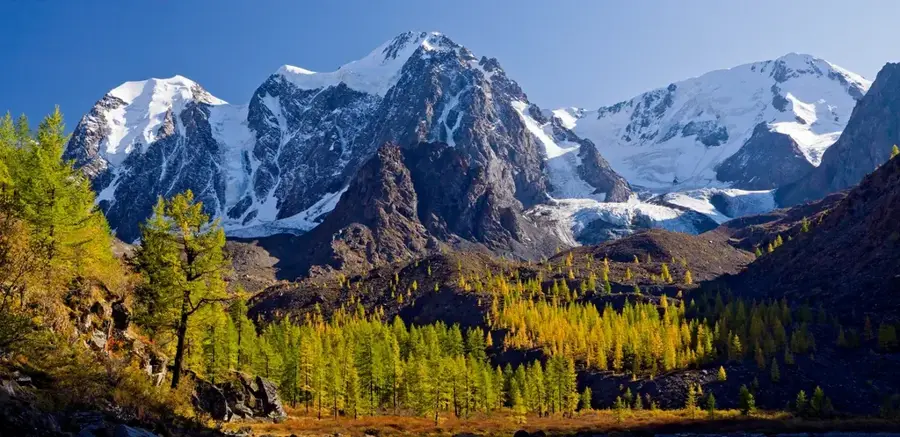 Altai