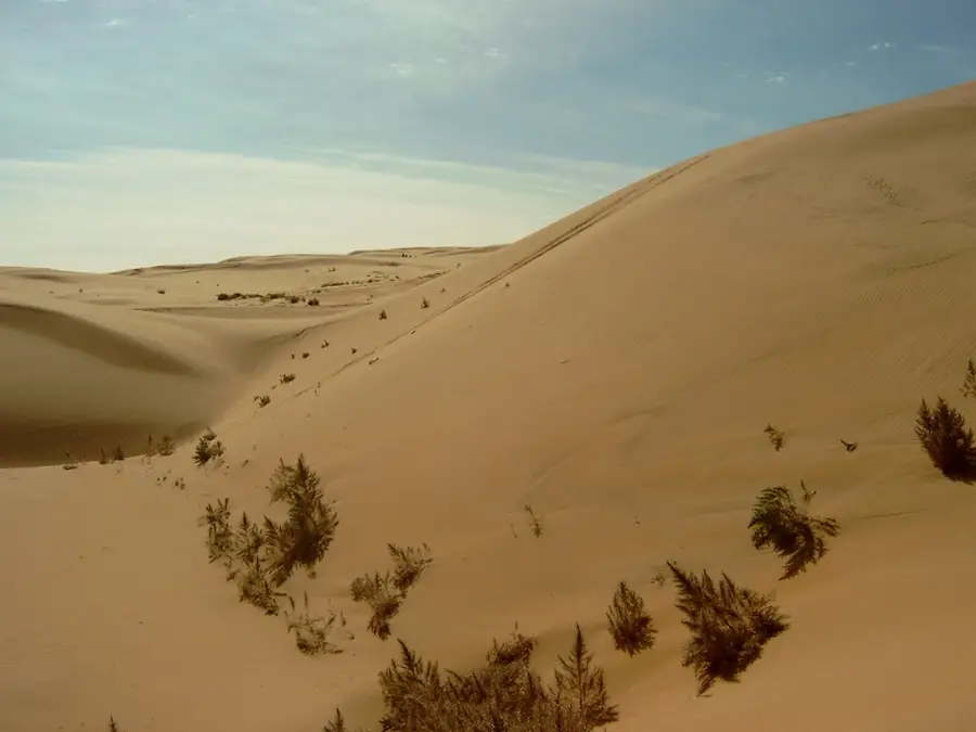 Großes Gobi-A Schutzgebiet — Onon-Fluss (Mongolei)