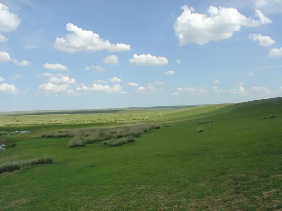 Lkhachinvandad Naturreservat — Dajan-Uul (Mongolei)