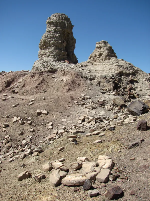 Ongiin-Chiid Ruinen — Versteinerter Wald von Suikhent (Mongolei)