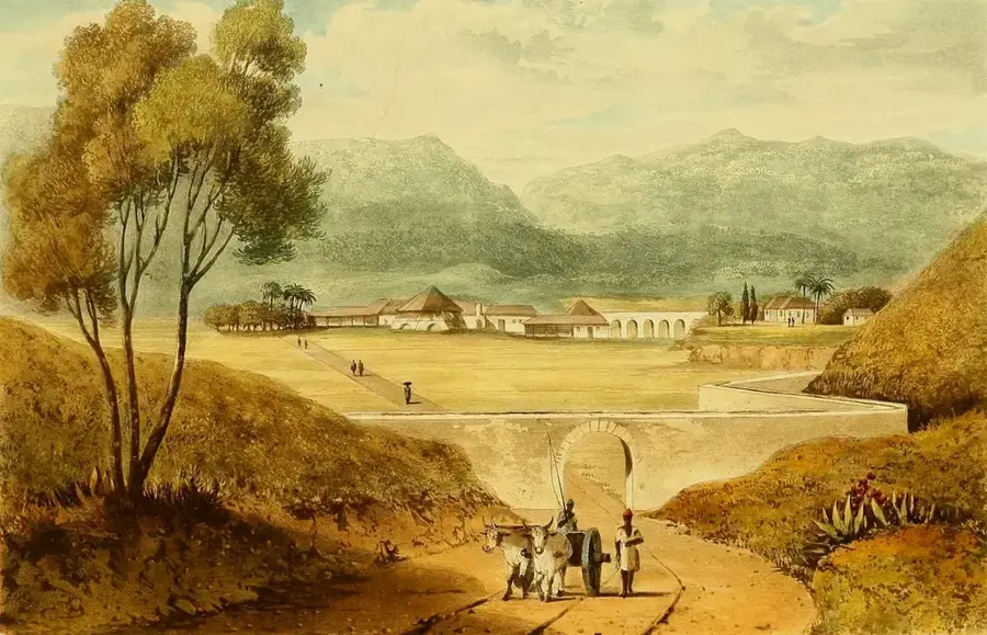 Mocho Mountains