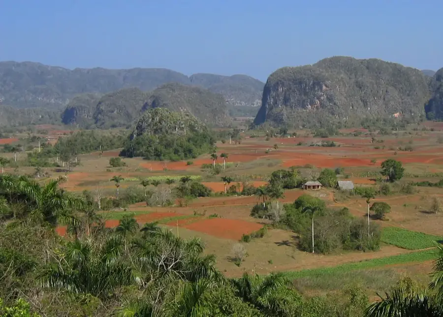 Viñales Mogotes — Pinar Fruit Processing (Cuba)