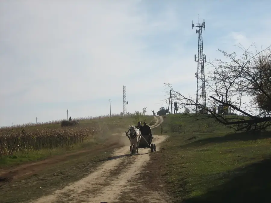 Dealul Bălănești — Negrești (România)