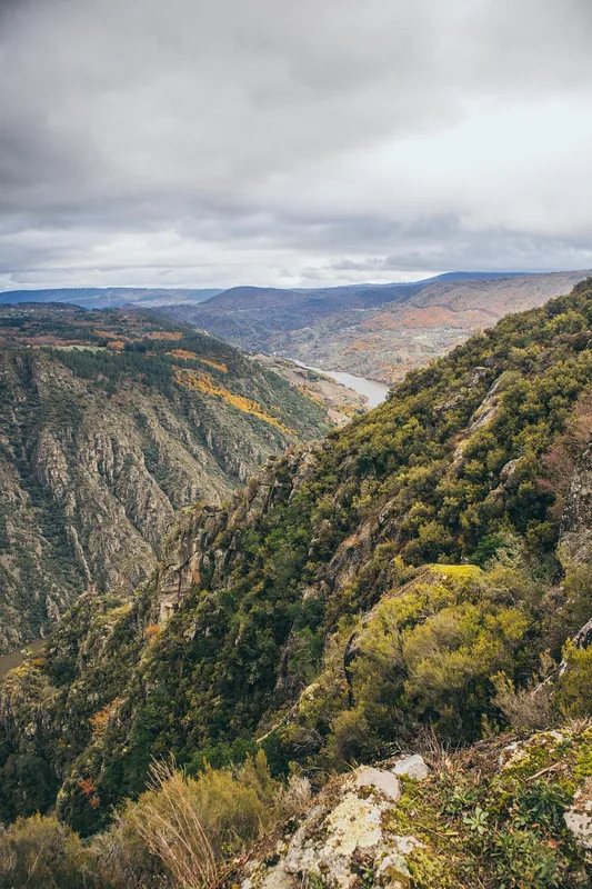 Bechir Ravine — Florești (Moldova)