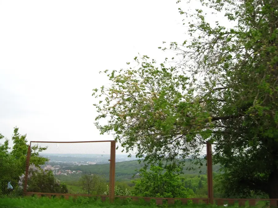 Bîc-Tal — Mileștii Mici (Moldau)
